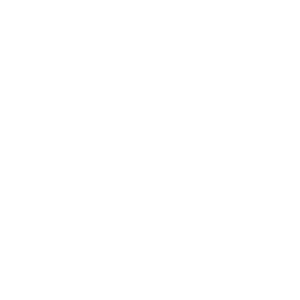logo Aeroitalia Aviation Academy